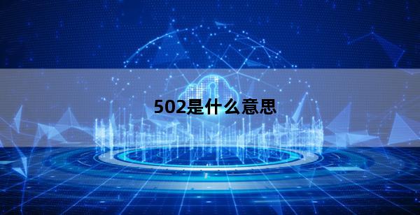 502是什么意思