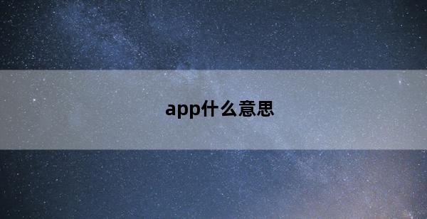 app什么意思