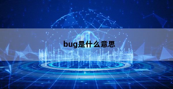 bug是什么意思